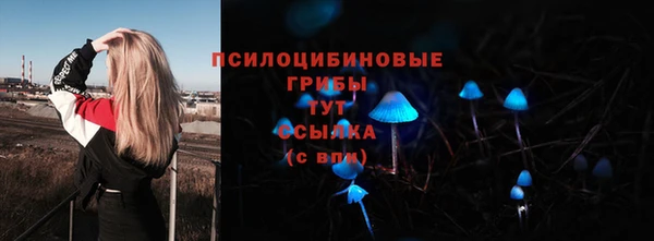соль ск Алзамай