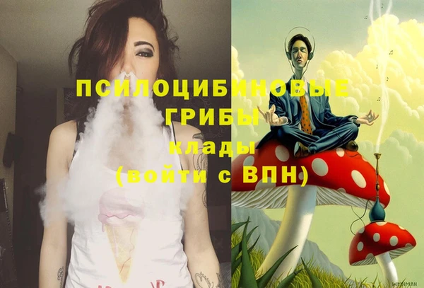 соль ск Алзамай