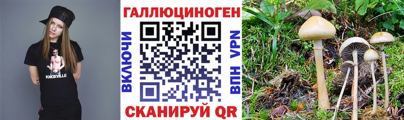 Псилоцибиновые грибы ЛСД  мориарти клад  Талица 